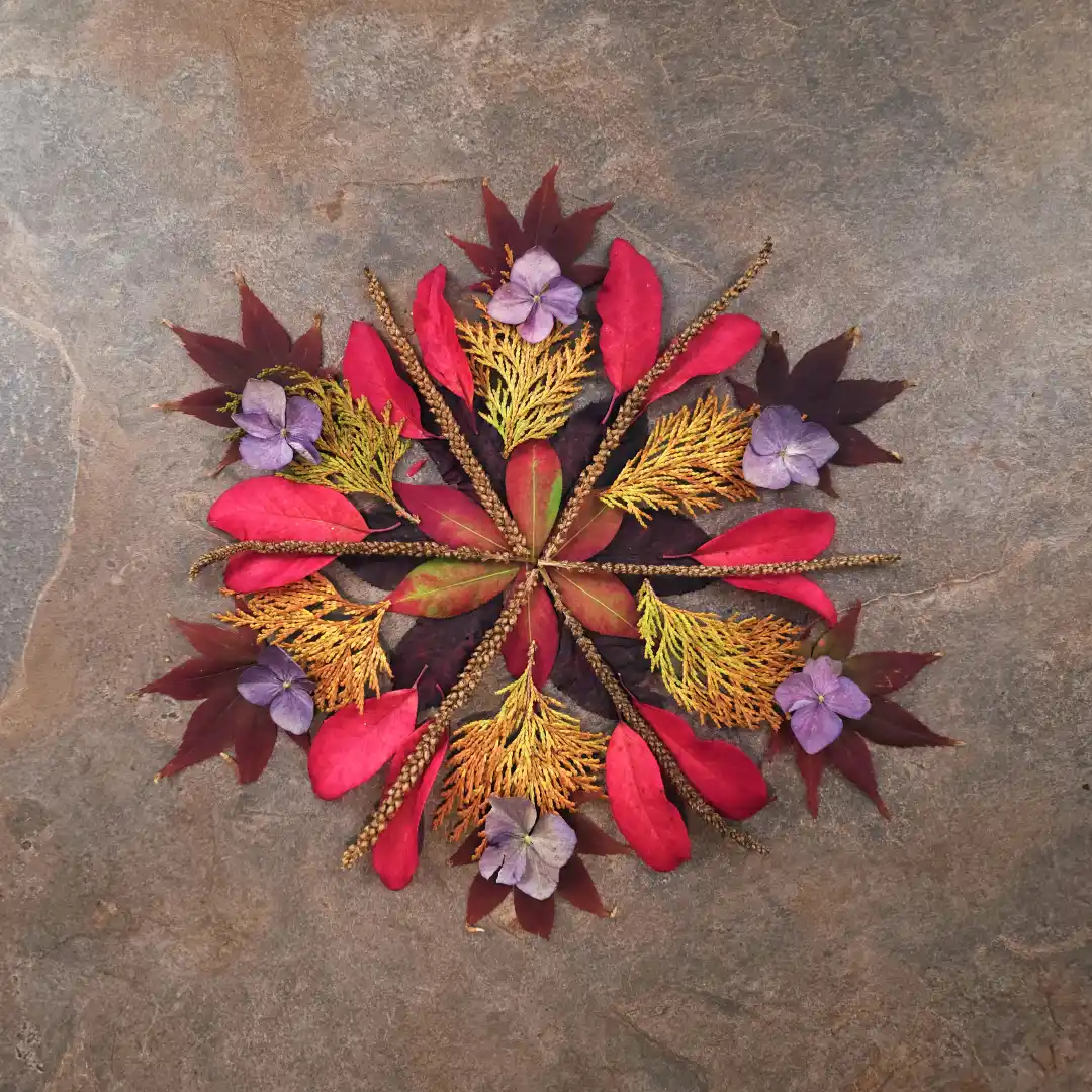 Leaf Mandala - Art by Tim Waters